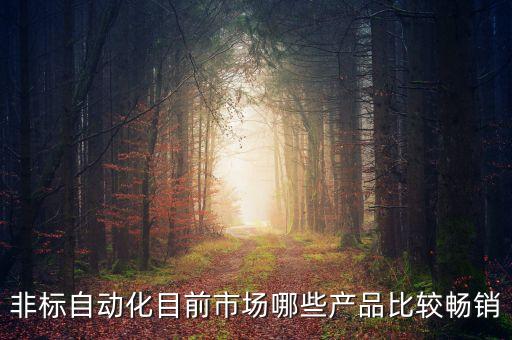 非標(biāo)自動(dòng)化目前市場(chǎng)哪些產(chǎn)品比較暢銷