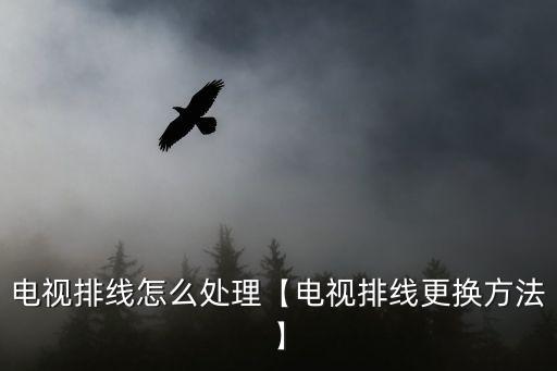 lg電視數(shù)據(jù)線,如何將電腦連接到LG電視?