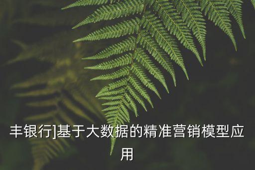 豐銀行]基于大數(shù)據(jù)的精準(zhǔn)營(yíng)銷模型應(yīng)用