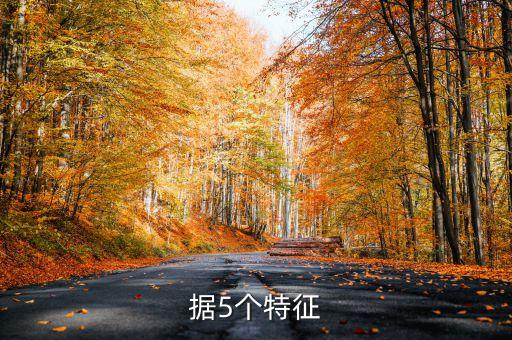 世界大數(shù)據(jù)觀察,數(shù)據(jù)觀測網(wǎng)