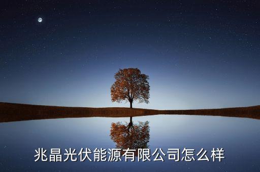 棗莊光伏自動化公司有哪些,山東棗莊光伏項目
