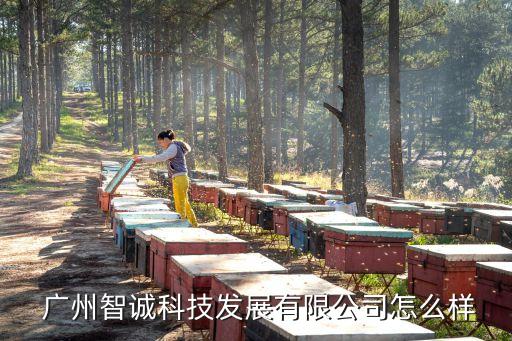 德國電子自動化設(shè)備廣州,廣州可鼎自動化設(shè)備有限公司