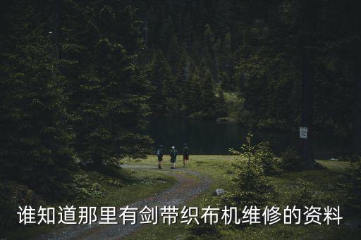 誰知道那里有劍帶織布機維修的資料