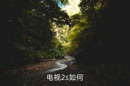 電視2s如何
