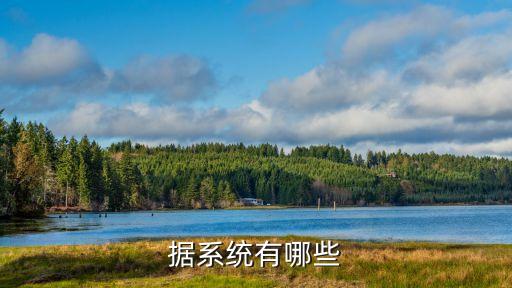 據(jù)系統(tǒng)有哪些