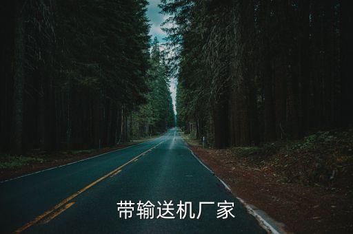 江門(mén)輸送自動(dòng)化設(shè)備廠家,輸送帶制造商