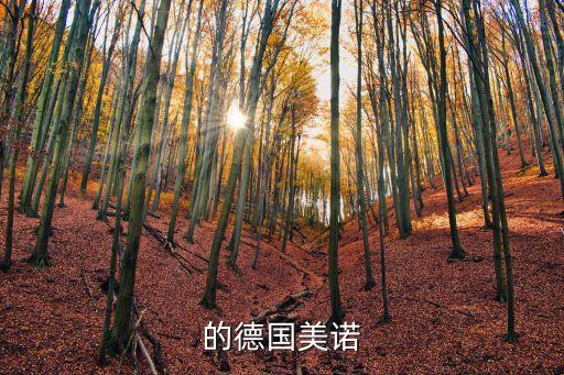的德國(guó)美諾