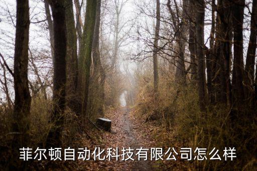 菲爾頓自動(dòng)化科技有限公司怎么樣