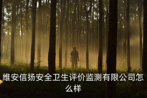 維安信揚安全衛(wèi)生評價監(jiān)測有限公司怎么樣