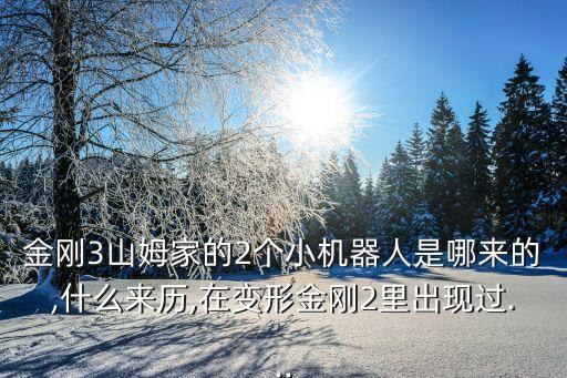金剛3山姆家的2個(gè)小機(jī)器人是哪來的,什么來歷,在變形金剛2里出現(xiàn)過...