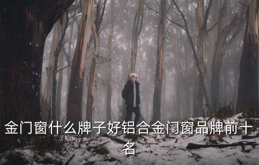 金之陽自動化公司,河南金志揚實業(yè)有限公司