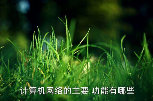 計算機網絡的功能,簡述計算機網絡的功能