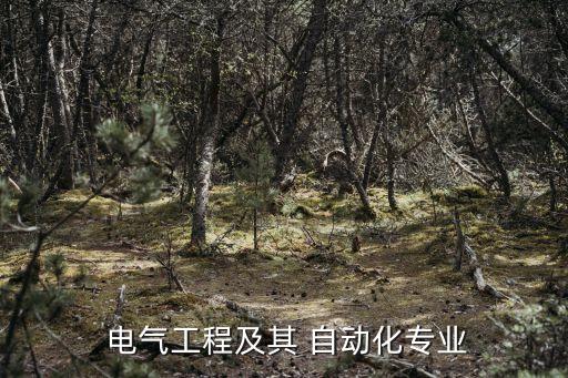  電氣工程及其 自動化專業(yè)