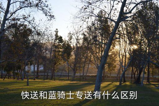 藍(lán)騎士,Nova 藍(lán)騎士什么事?