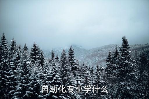 造紙方面自動化專業(yè)學什么,自動化專業(yè)學什么?
