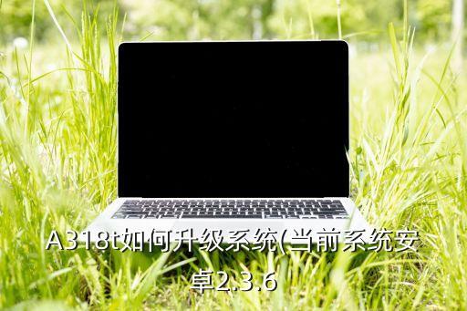 Android2.3.6升級(jí)數(shù)據(jù)包,安卓升級(jí)套裝下載