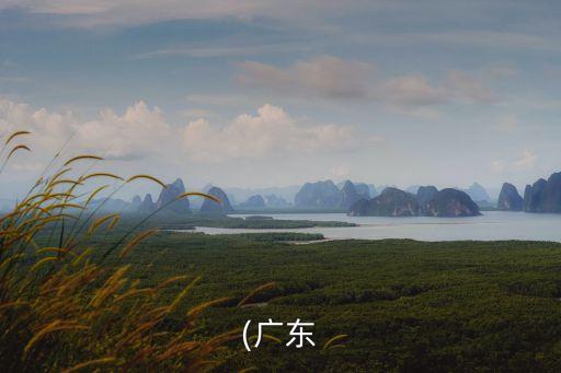 盈捷自動(dòng)化設(shè)備,捷牛自動(dòng)化設(shè)備