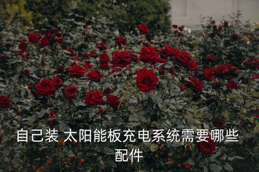 自己裝 太陽能板充電系統(tǒng)需要哪些 配件