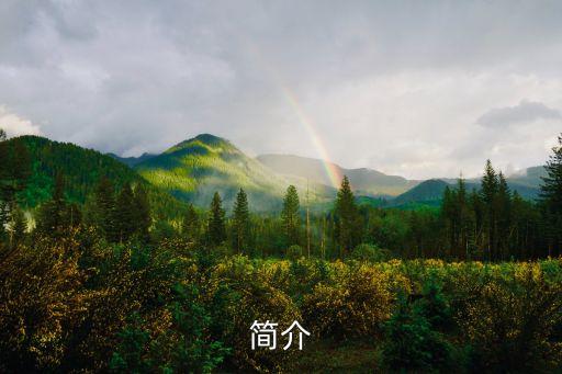 喬丹,一個關于喬丹的勵志故事