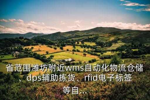 濰坊裝電子的自動化設(shè)備,電子皮帶秤制造商