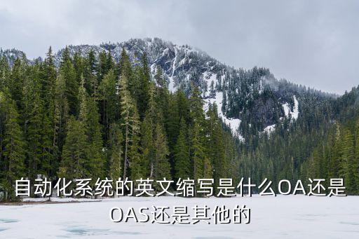 自動(dòng)化系統(tǒng)的英文縮寫是什么OA還是OAS還是其他的