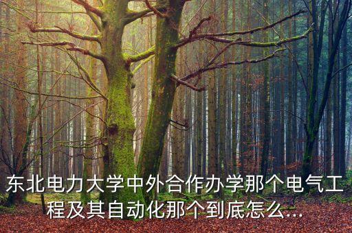 東電自動(dòng)化專業(yè)咋樣,東北電力大學(xué)自動(dòng)化專業(yè)怎么樣啊?