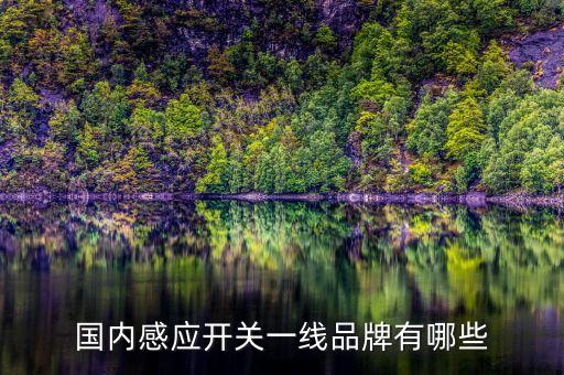 國內(nèi)感應(yīng)開關(guān)一線品牌有哪些