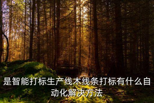 實木家具生產(chǎn)線自動化設(shè)備,管樁自動生產(chǎn)線設(shè)備制造商