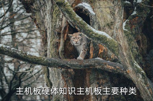 主機(jī)板硬體知識主機(jī)板主要種類