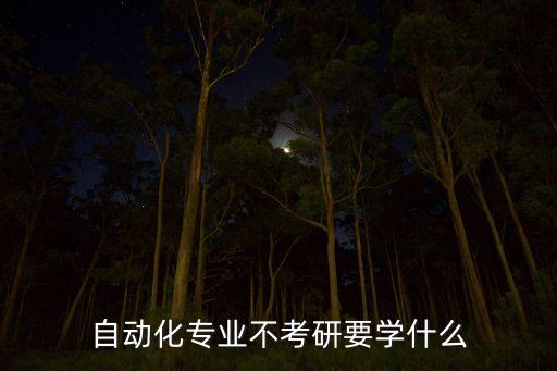 自動化專業(yè)不考研要學什么