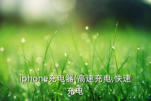 iphone充電器(高速充電,快速充電