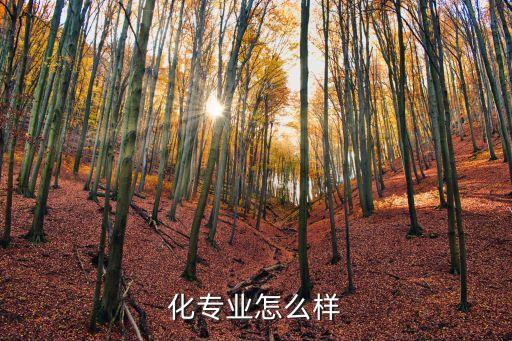 化專業(yè)怎么樣