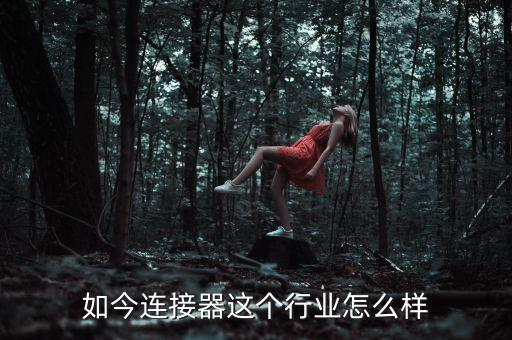 光電連接器全自動(dòng)化設(shè)備,本地自動(dòng)化設(shè)備有哪些