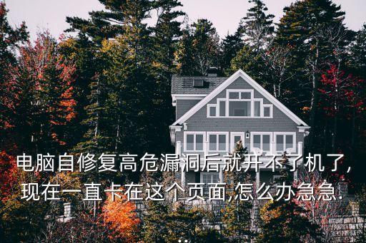 電腦自修復(fù)高危漏洞后就開(kāi)不了機(jī)了,現(xiàn)在一直卡在這個(gè)頁(yè)面,怎么辦急急...