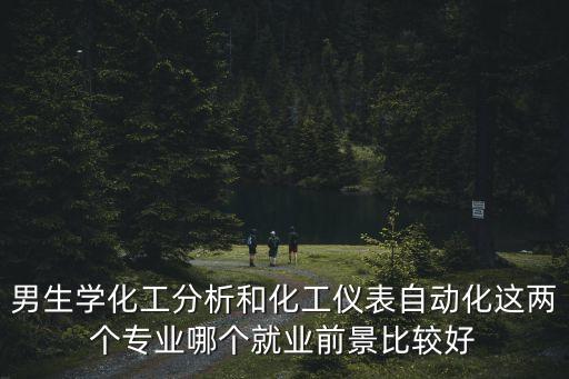 男生學(xué)化工分析和化工儀表自動(dòng)化這兩個(gè)專業(yè)哪個(gè)就業(yè)前景比較好