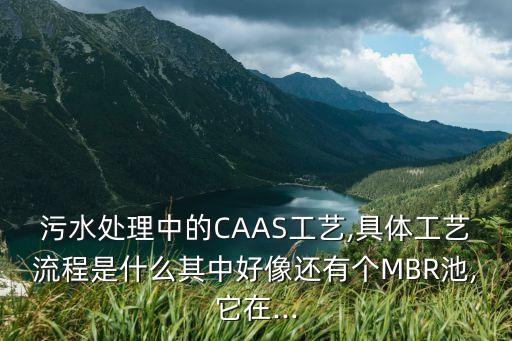 污水處理中的CAAS工藝,具體工藝流程是什么其中好像還有個(gè)MBR池,它在...