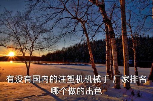 有沒有國內(nèi)的注塑機(jī)機(jī)械手 廠家排名哪個做的出色
