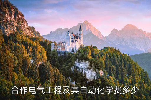 河工大中外合作電氣自動(dòng)化,主要中外合作電氣自動(dòng)化