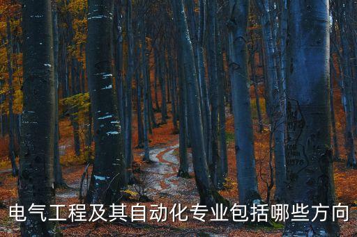 自動化電氣服務(wù)包括,電氣自動化專業(yè)，培養(yǎng)高級專門人才