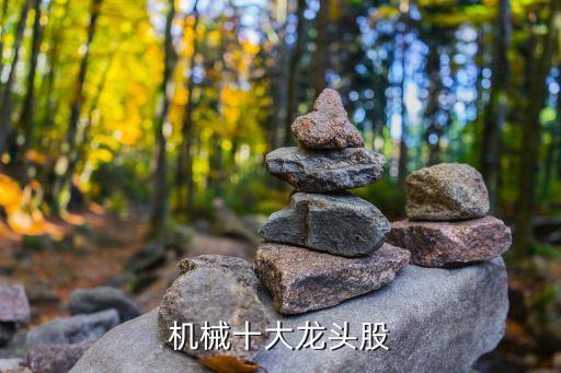 現(xiàn)在自動(dòng)化機(jī)械設(shè)備龍頭,自動(dòng)茶葉機(jī)械設(shè)備