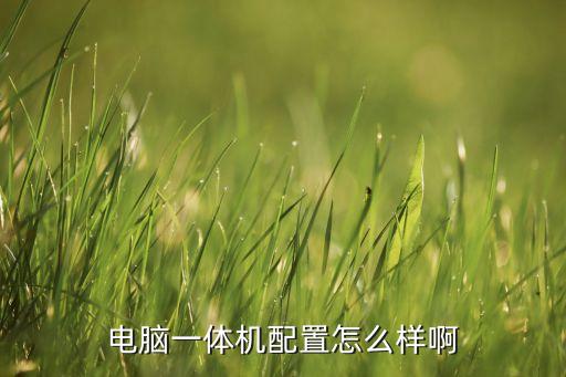 自動化專業(yè)蘋果電腦怎么樣,電子商務(wù)專業(yè)用蘋果電腦怎么樣?