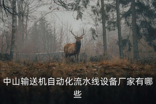 中山輸送機(jī)自動(dòng)化流水線設(shè)備廠家有哪些