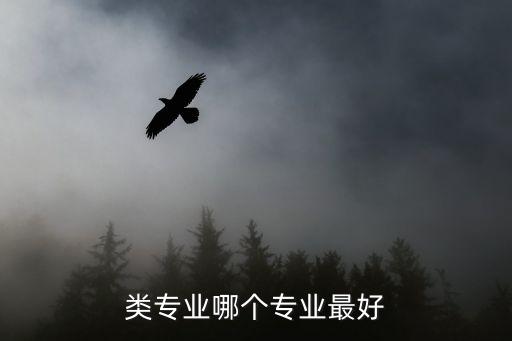 類專業(yè)哪個專業(yè)最好