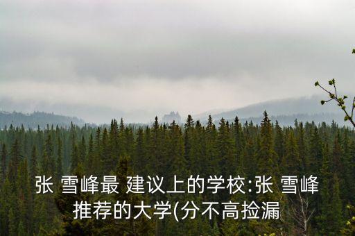 張 雪峰最 建議上的學校:張 雪峰推薦的大學(分不高撿漏