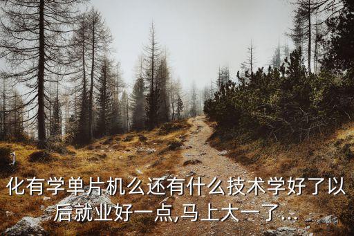 單片機(jī)與自動(dòng)化專業(yè),自動(dòng)化用單片機(jī)