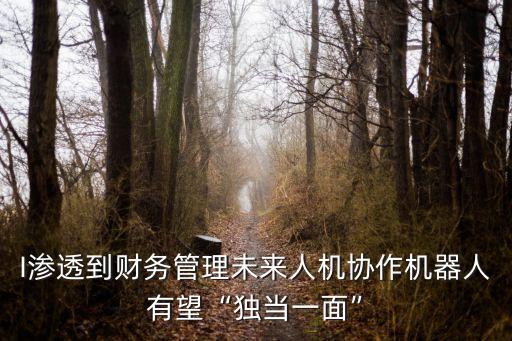 I滲透到財(cái)務(wù)管理未來(lái)人機(jī)協(xié)作機(jī)器人有望“獨(dú)當(dāng)一面”
