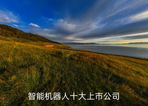 智能機(jī)器人十大上市公司