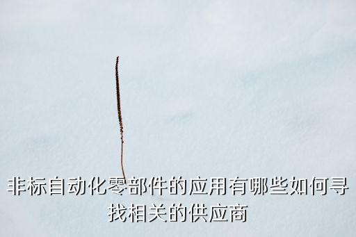 非標(biāo)自動(dòng)化零部件的應(yīng)用有哪些如何尋找相關(guān)的供應(yīng)商