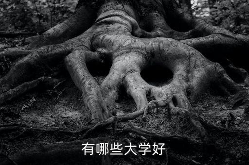 安徽財(cái)經(jīng)大學(xué)自動(dòng)化專業(yè),安微的二本國(guó)有大學(xué)是什么?