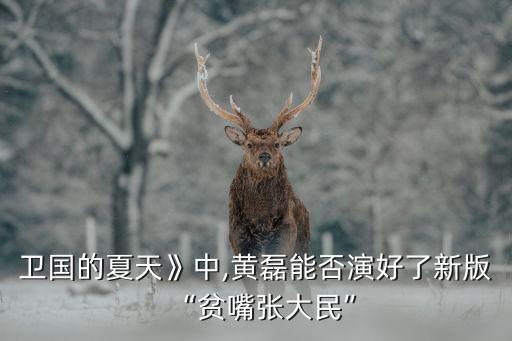 衛(wèi)國(guó)的夏天》中,黃磊能否演好了新版“貧嘴張大民”